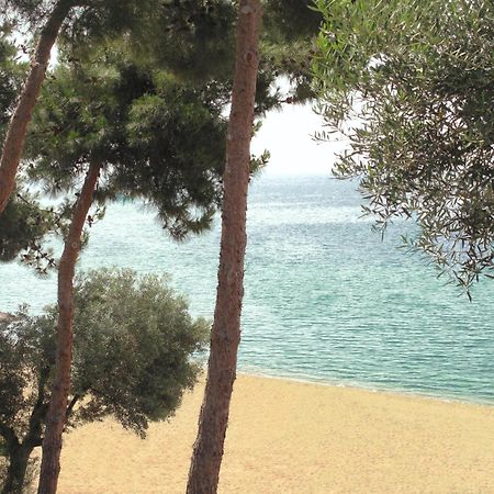 Trikorfo Beach Gerakini Extérieur photo