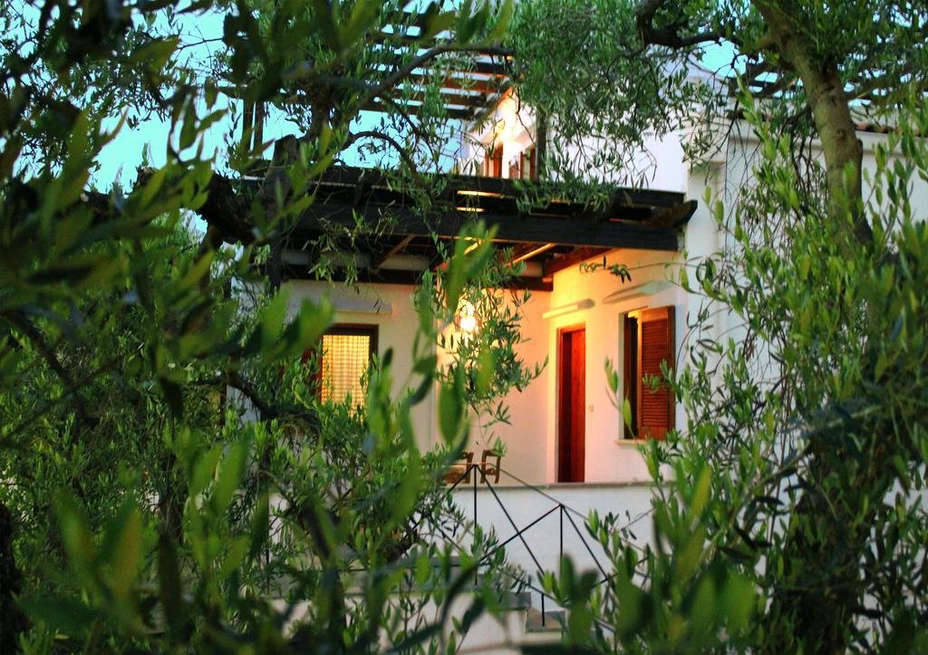 Trikorfo Beach Gerakini Extérieur photo